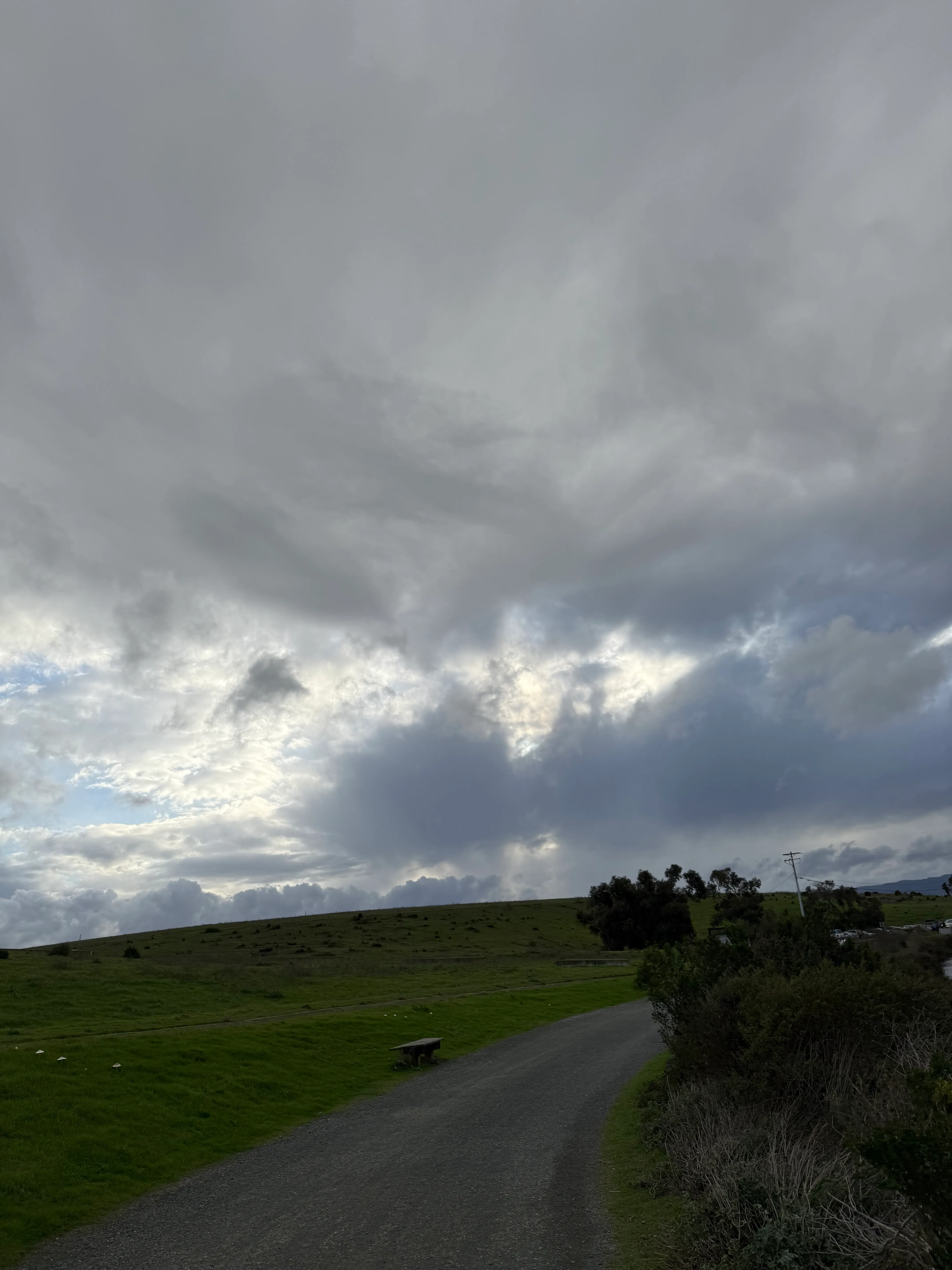 coffee, baylands, and costco with a!