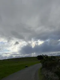 coffee, baylands, and costco with a!