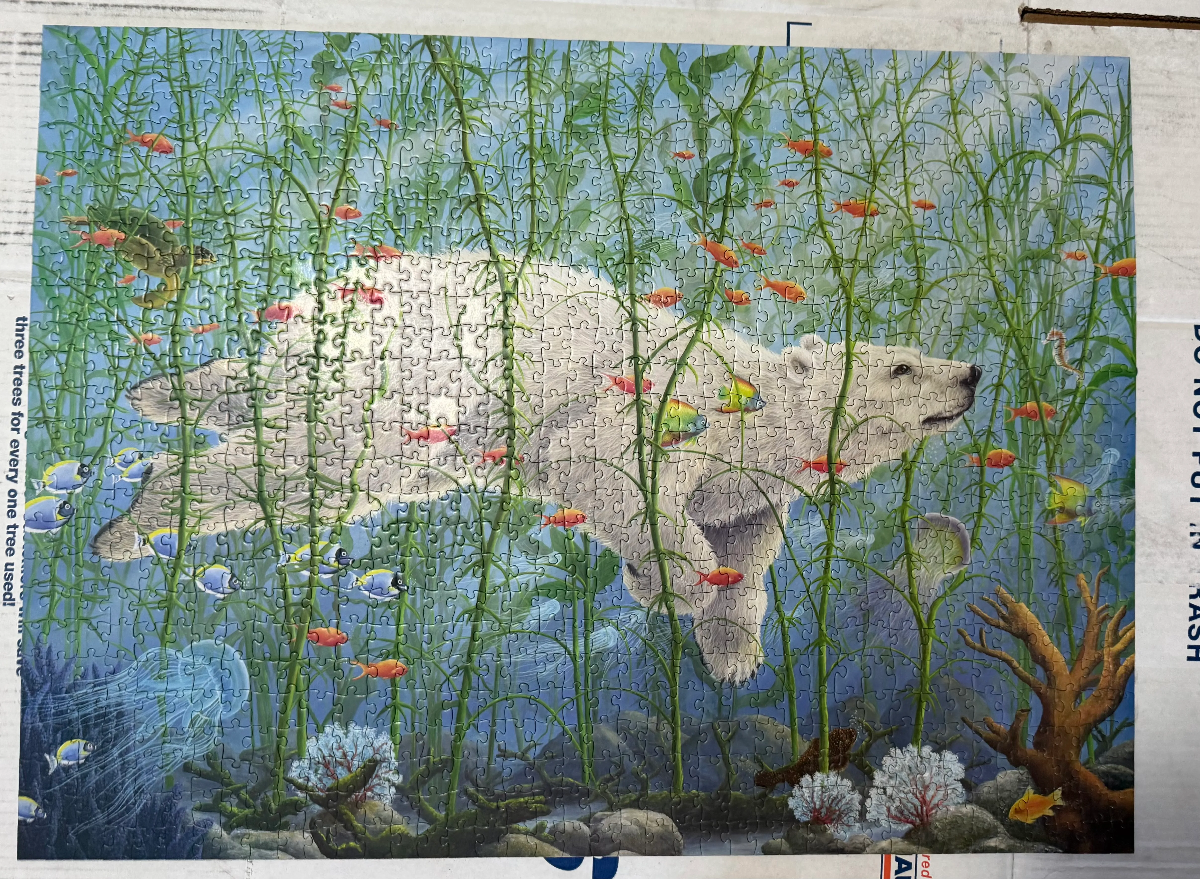 finishing puzzle of polar bear swimming without looking at the picture