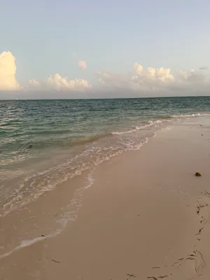 First moment stepping into the ocean, and it being warmer than expected