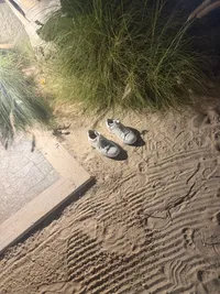 Life talks in the middle of the night in the ocean/pool/beach