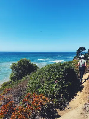 Hike with A on the coast... salt air, cold coffee, sunshine, the sound of the waves, cypress trees, and more